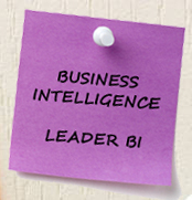 Demo business intelligence